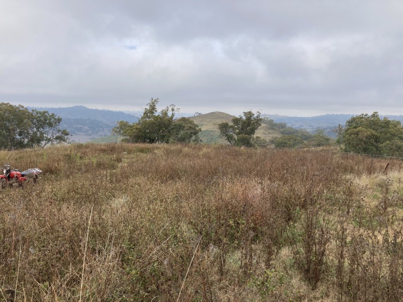 2229 PEMBROKE ROAD, Cassilis NSW 2329