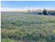929 FLAGGS ROAD, Merriwa NSW 2329