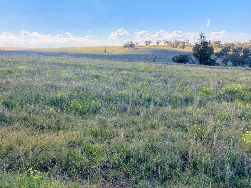 929 FLAGGS ROAD, Merriwa NSW 2329