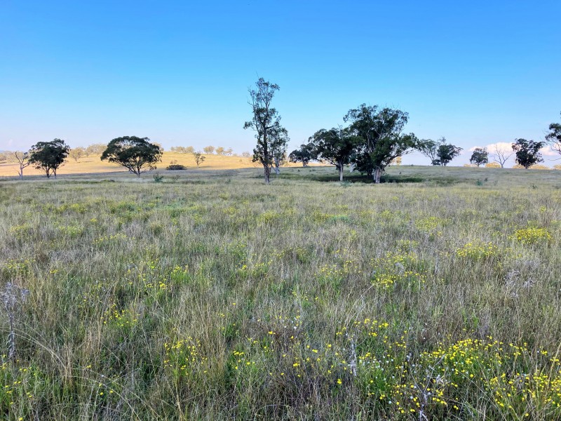 929 FLAGGS ROAD, Merriwa NSW 2329