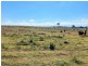 929 FLAGGS ROAD, Merriwa NSW 2329