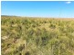 929 FLAGGS ROAD, Merriwa NSW 2329