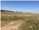 929 FLAGGS ROAD, Merriwa NSW 2329