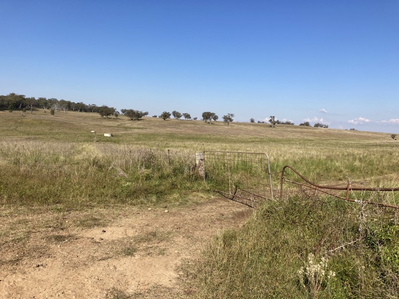 929 FLAGGS ROAD, Merriwa NSW 2329