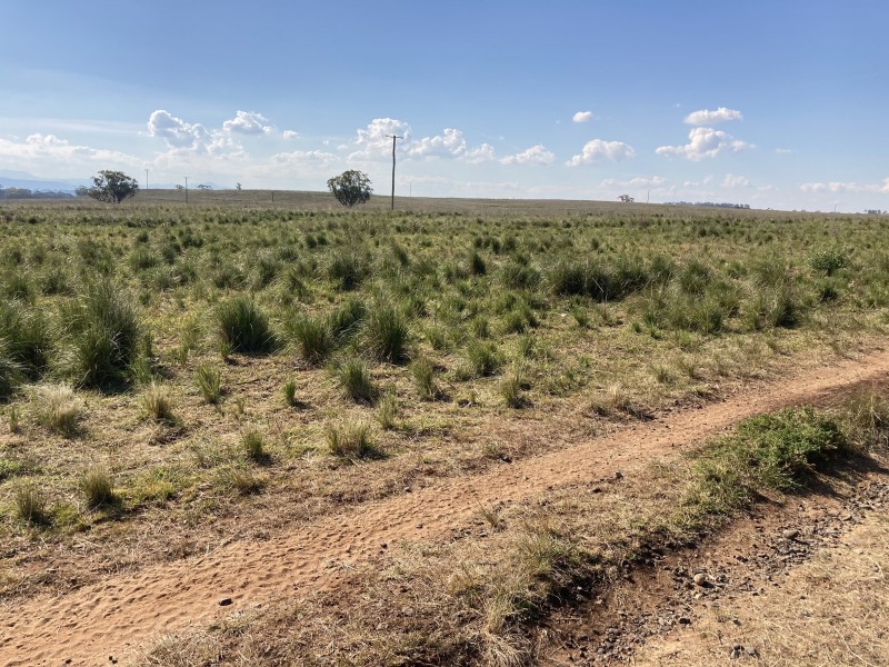 929 FLAGGS ROAD, Merriwa NSW 2329