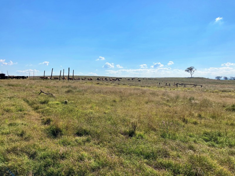 929 FLAGGS ROAD, Merriwa NSW 2329