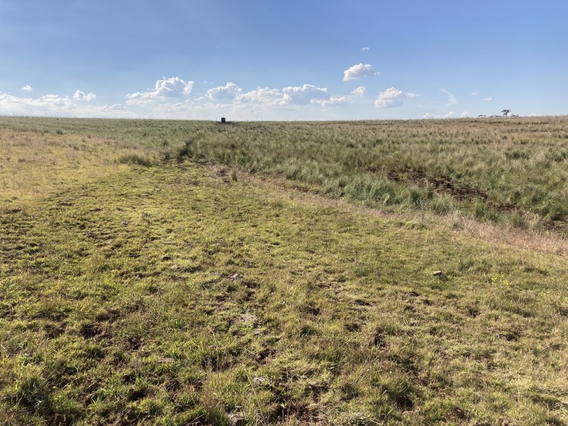929 FLAGGS ROAD, Merriwa NSW 2329