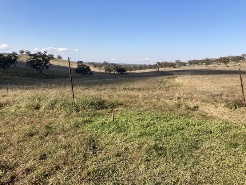 929 FLAGGS ROAD, Merriwa NSW 2329