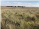 929 FLAGGS ROAD, Merriwa NSW 2329