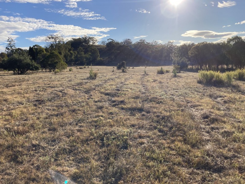 154 HULKS ROAD, Merriwa NSW 2329