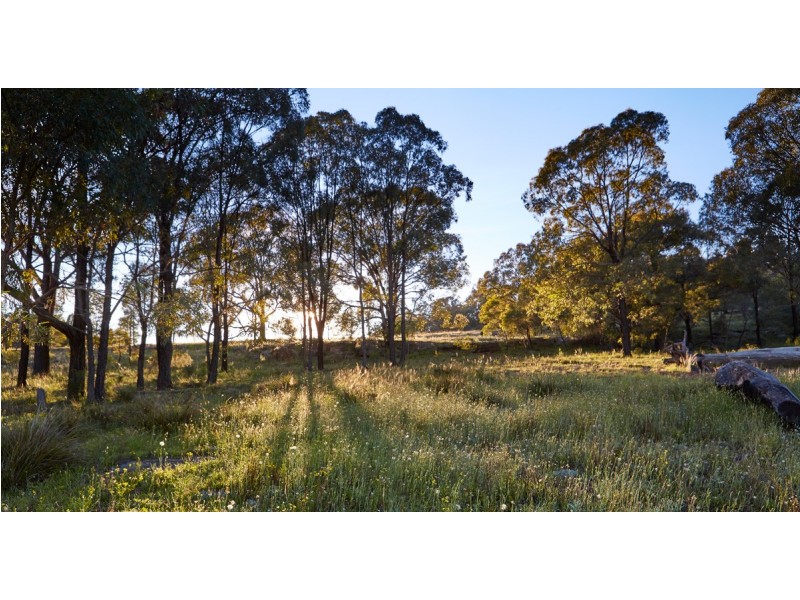1505 CULLINGRAL ROAD, Merriwa NSW 2329