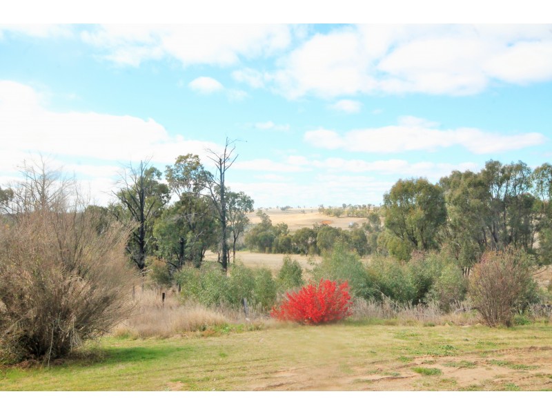 6927 Ulan Road, Cassilis NSW 2329