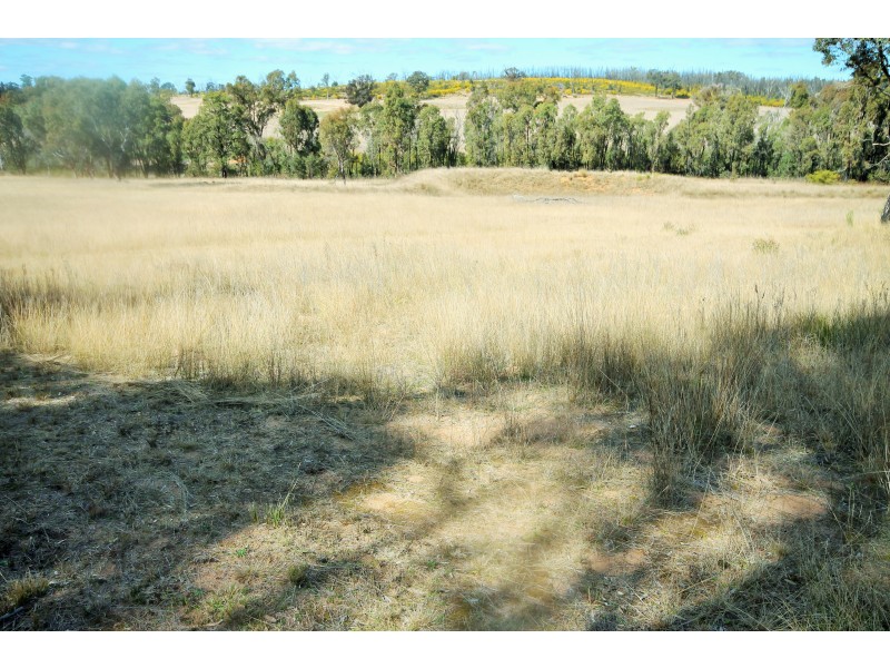 6927 Ulan Road, Cassilis NSW 2329