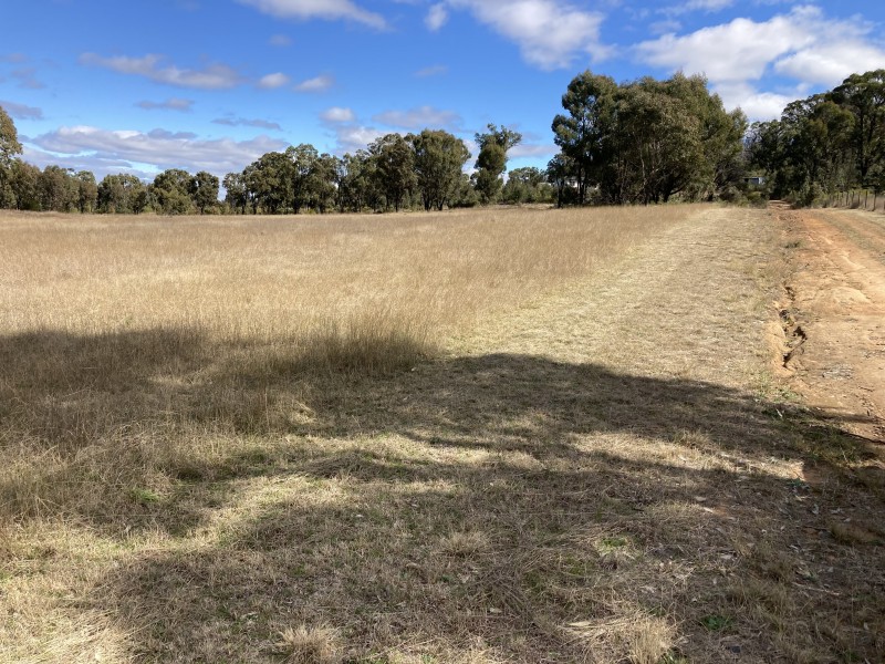 6927 Ulan Road, Cassilis NSW 2329