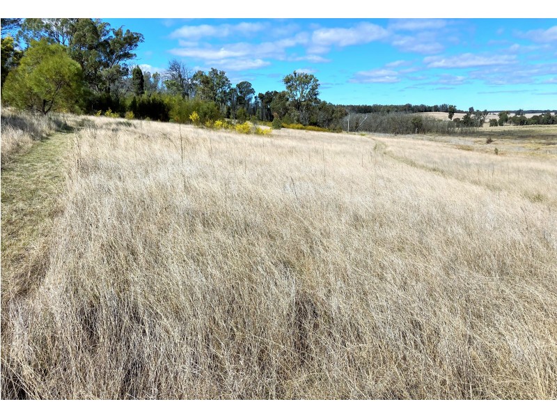 6927 Ulan Road, Cassilis NSW 2329