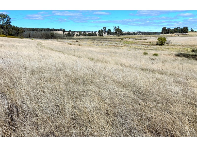 6927 Ulan Road, Cassilis NSW 2329