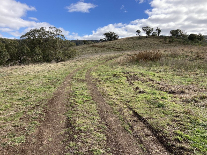 Lot 115 2021 Pembroke Road, Cassilis NSW 2329