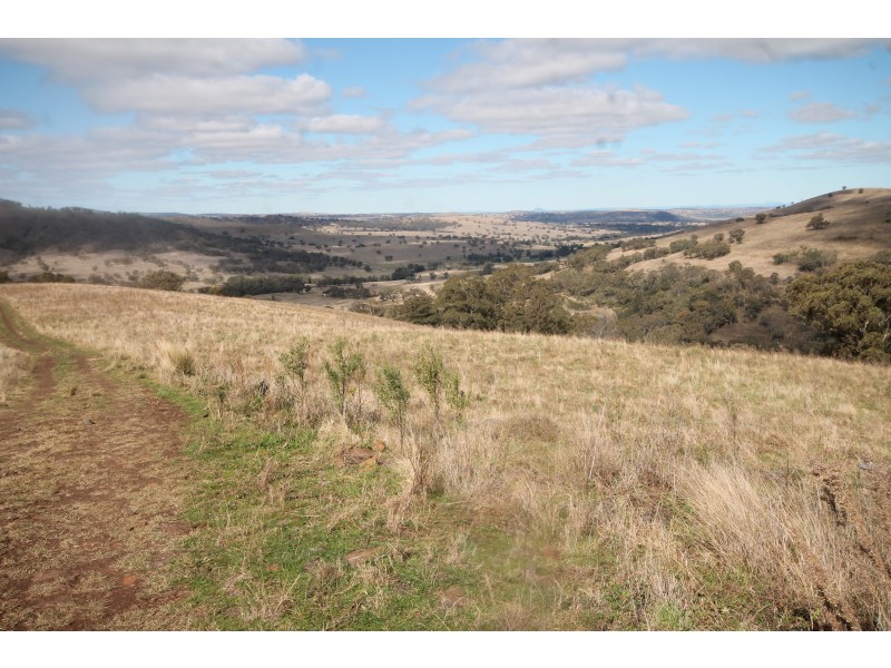 Lot 115 2021 Pembroke Road, Cassilis NSW 2329