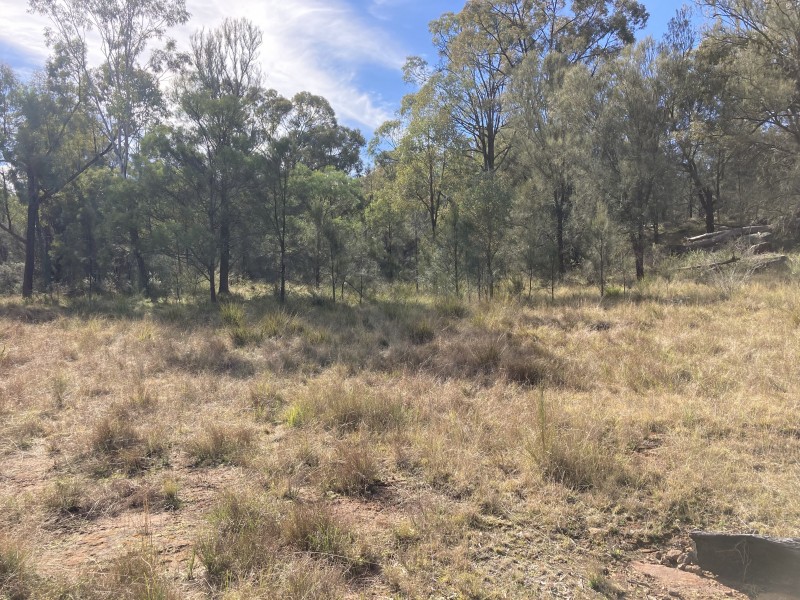 240 TUNBRIDGE ROAD, Merriwa NSW 2329