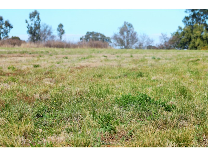 33 Collins Street, Merriwa NSW 2329