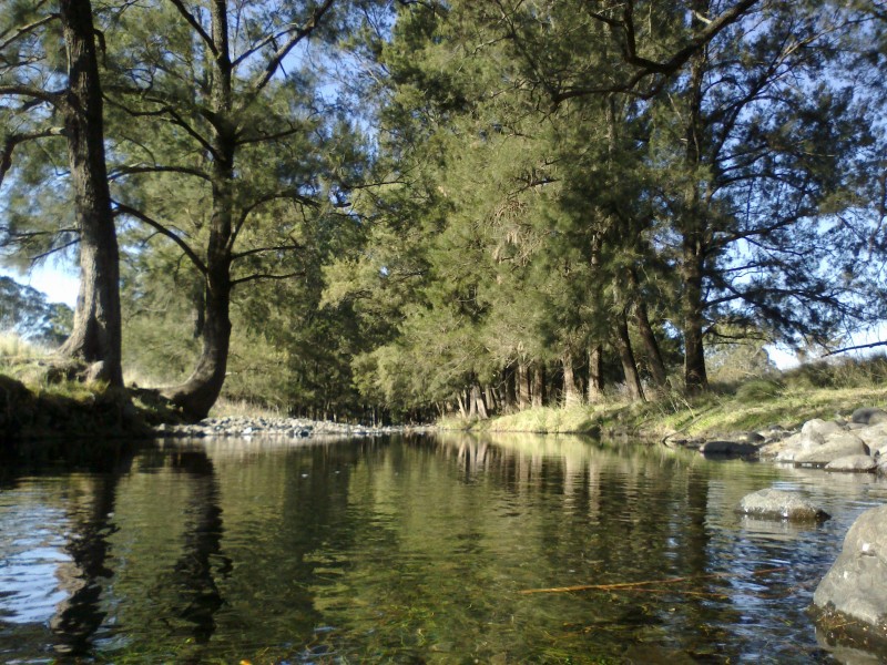 2118 PEMBROKE ROAD, Cassilis NSW 2329