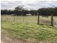 2118 PEMBROKE ROAD, Cassilis NSW 2329