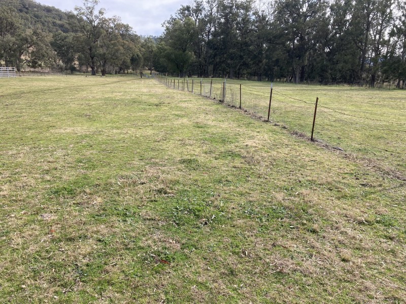 2118 PEMBROKE ROAD, Cassilis NSW 2329