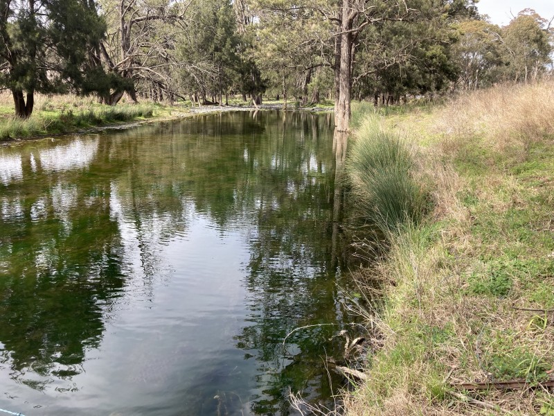 2118 PEMBROKE ROAD, Cassilis NSW 2329