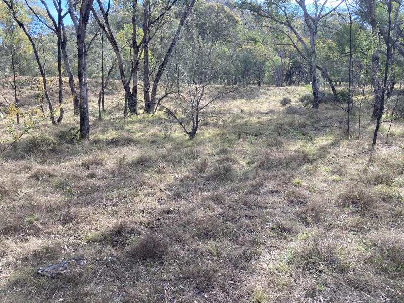 196 TUNBRIDGE ROAD, Merriwa NSW 2329