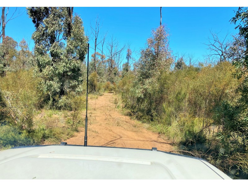 12392 GOLDEN HIGHWAY, Uarbry NSW 2329
