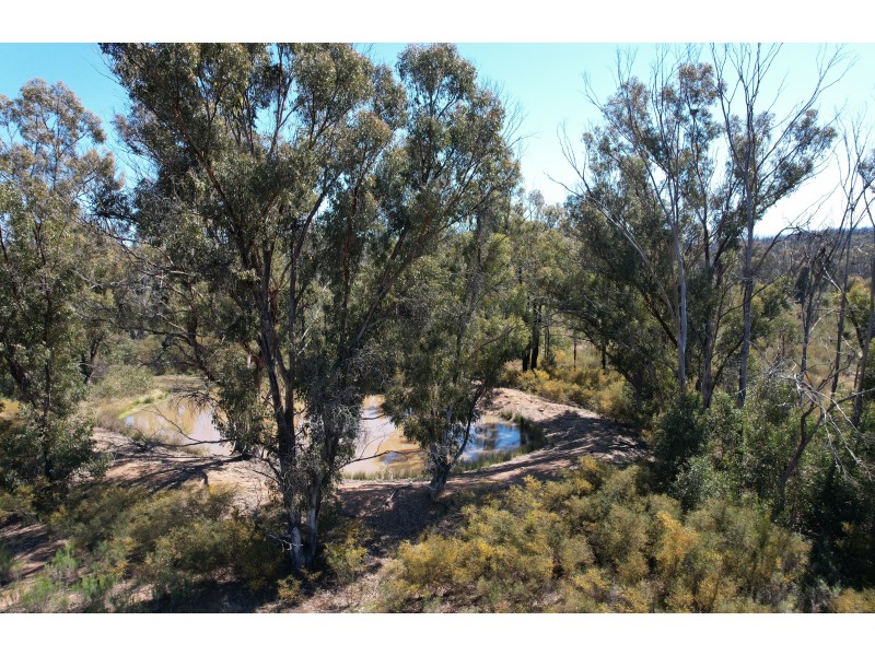 12392 GOLDEN HIGHWAY, Uarbry NSW 2329