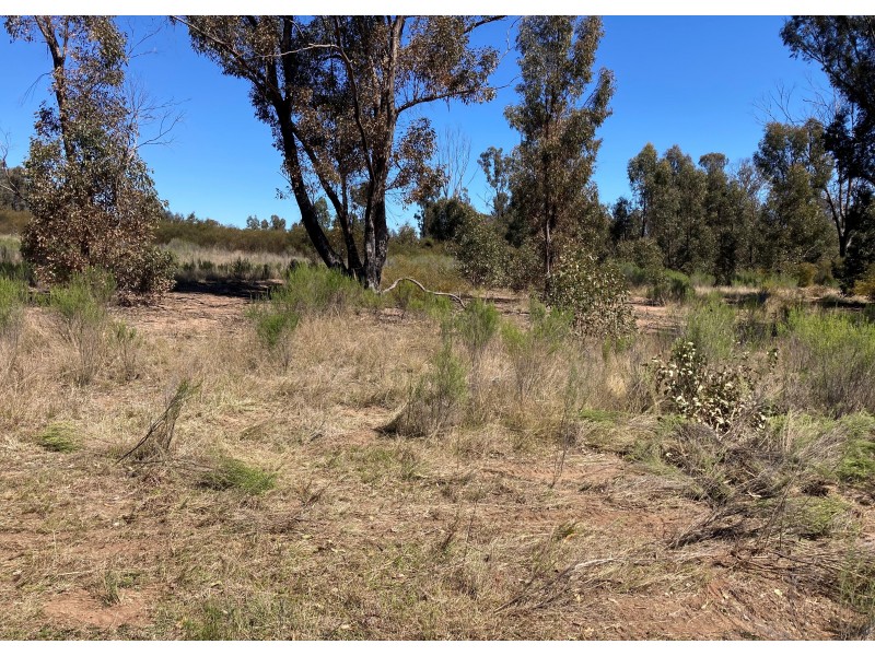 12392 GOLDEN HIGHWAY, Uarbry NSW 2329