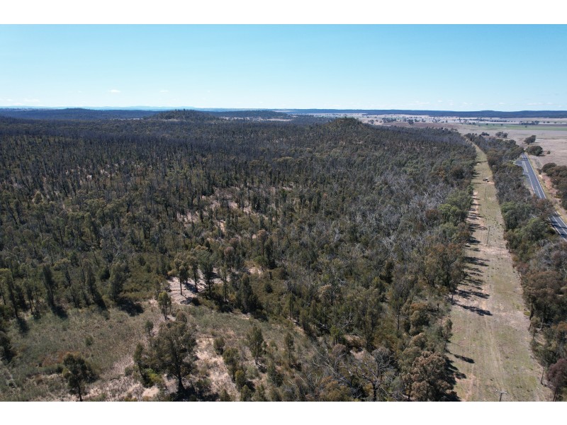 12392 GOLDEN HIGHWAY, Uarbry NSW 2329