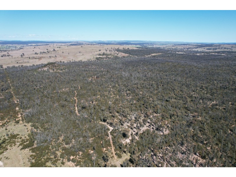 12392 GOLDEN HIGHWAY, Uarbry NSW 2329