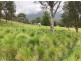 ‘The Bluff’ 1034 (Lot 101) Roma Road, Merriwa NSW 2329