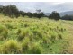‘The Bluff’ 1034 (Lot 101) Roma Road, Merriwa NSW 2329