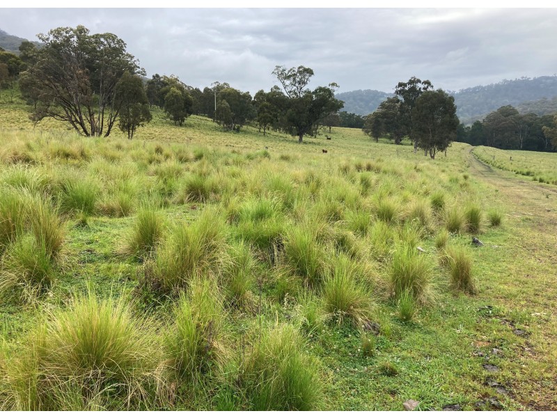 ‘The Bluff’ 1034 (Lot 101) Roma Road, Merriwa NSW 2329