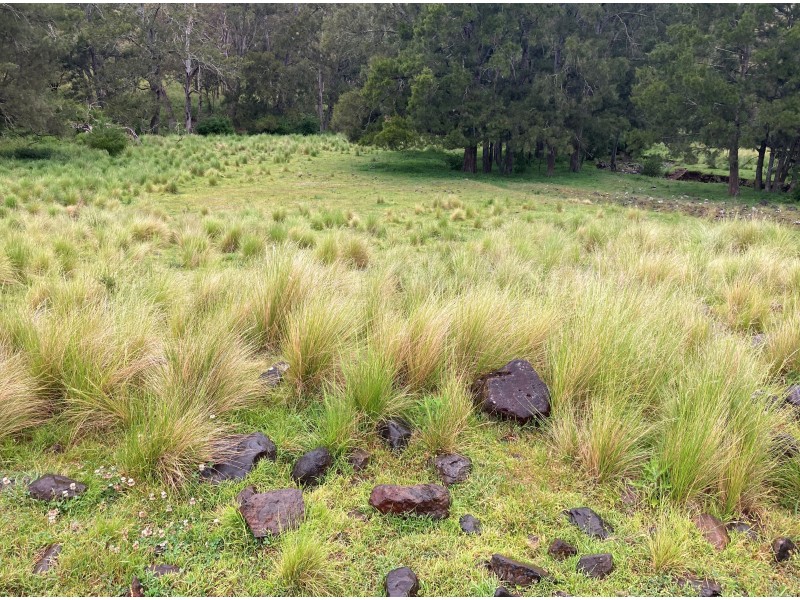 ‘The Bluff’ 1034 (Lot 101) Roma Road, Merriwa NSW 2329