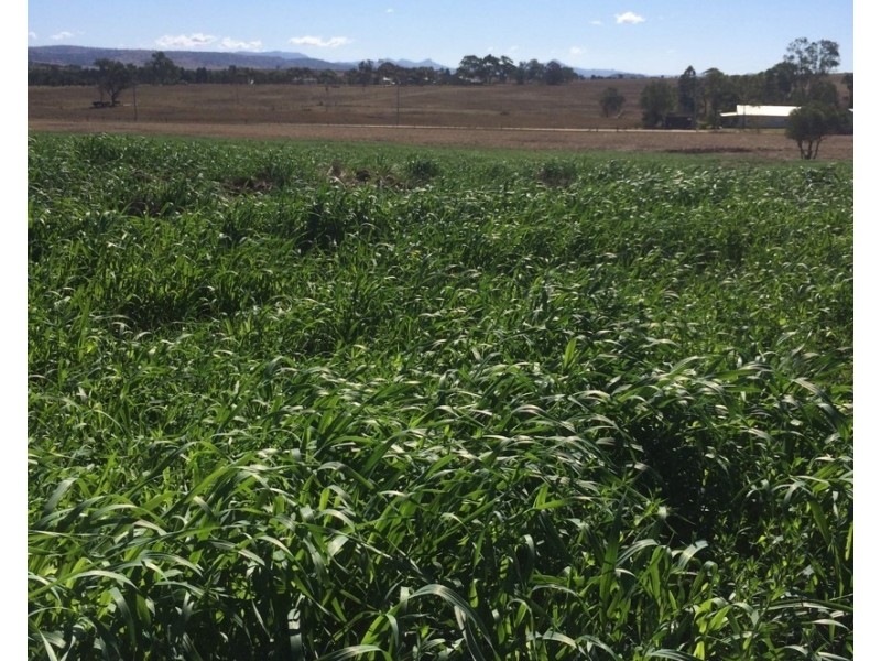 16 LAWLERS LANE, Merriwa NSW 2329