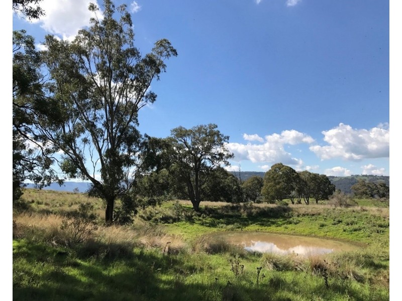 1765 Pembroke Road, Cassilis NSW 2329