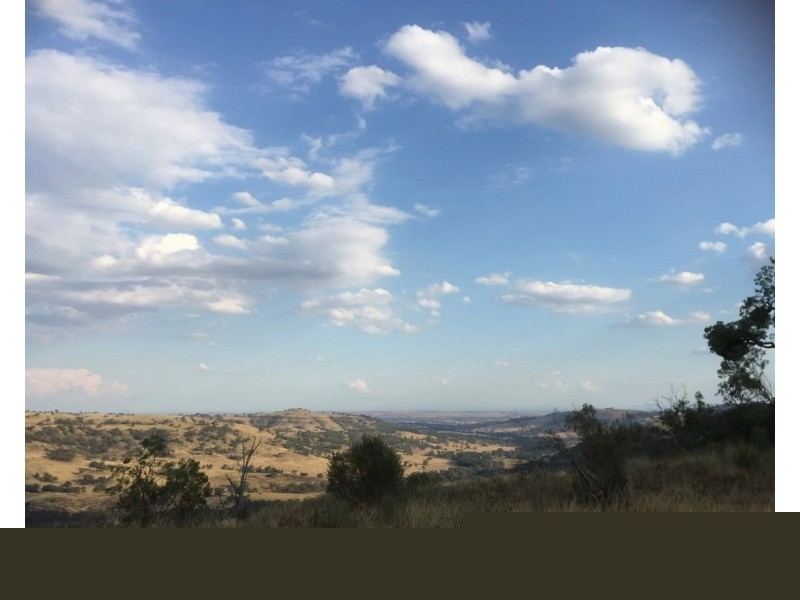 1765 Pembroke Road, Cassilis NSW 2329