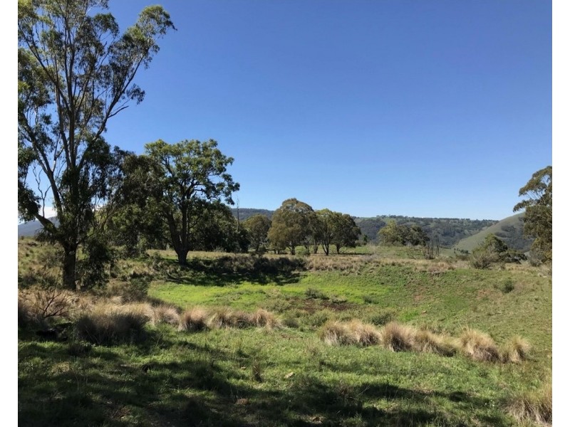 1765 Pembroke Road, Cassilis NSW 2329