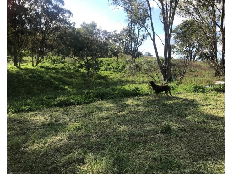 1765 Pembroke Road, Cassilis NSW 2329