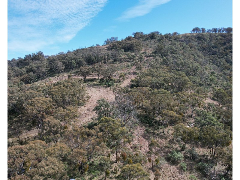 2359 Pembroke Road, Cassilis NSW 2329