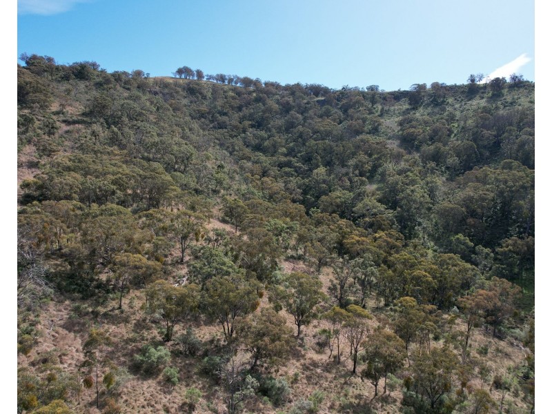 2359 Pembroke Road, Cassilis NSW 2329
