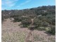 2359 Pembroke Road, Cassilis NSW 2329