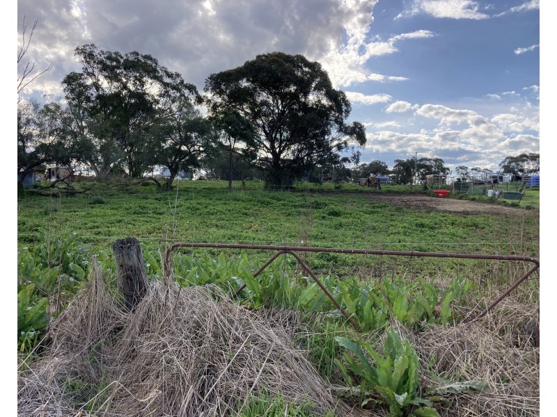 19 Blaydon Street, Bunnan NSW 2337