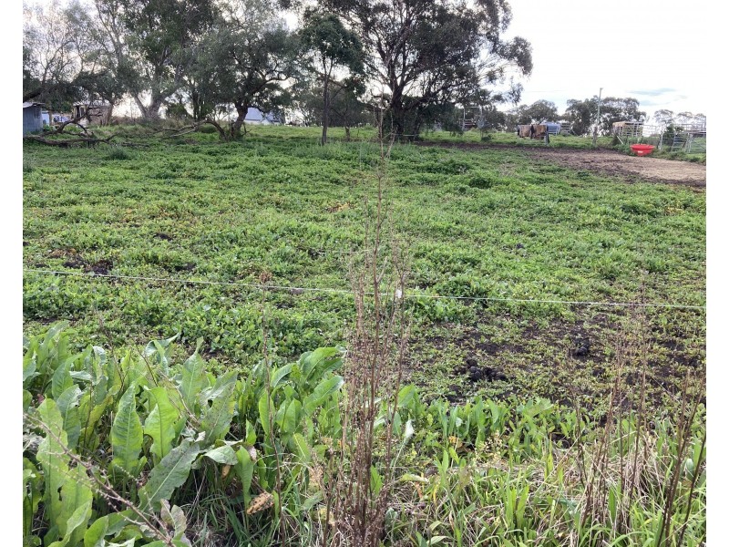 19 Blaydon Street, Bunnan NSW 2337