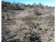 7A and 7B/1349 Aarons Pass Road, Carcalgong NSW 2850