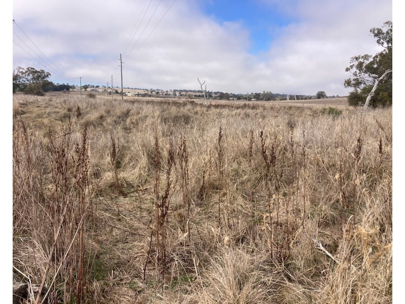 1 /McRae Street, Merriwa NSW 2329